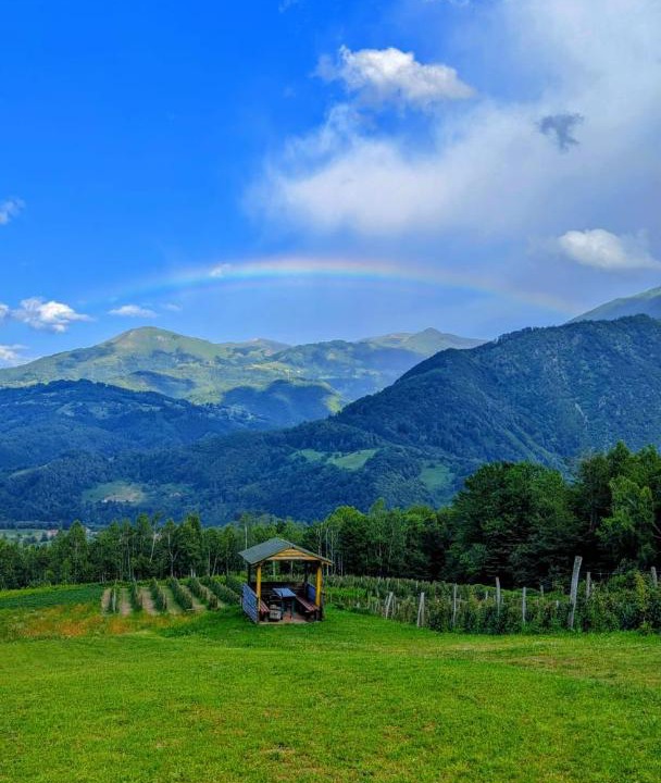 Photo of Others in Mojkovac