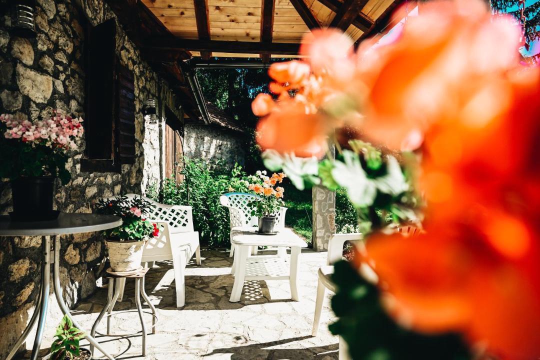 Photo of Others in Plav