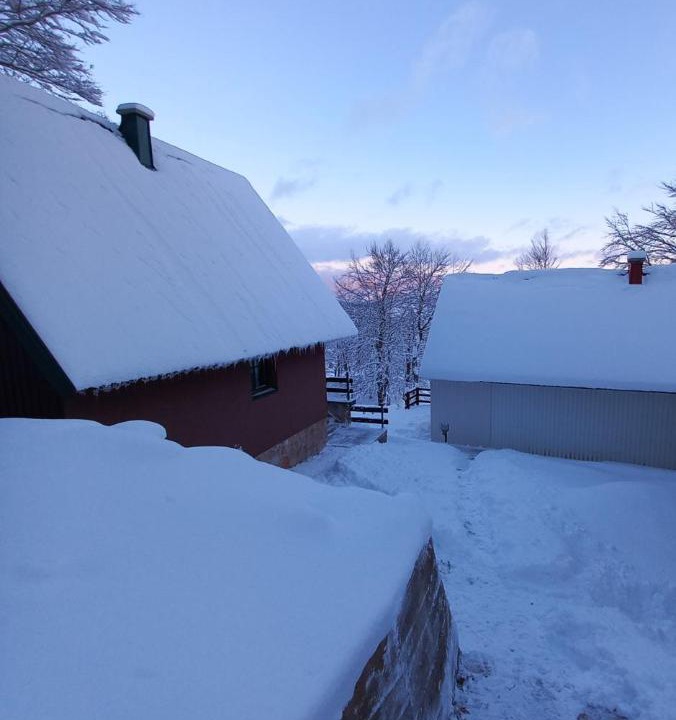 Photo of Others in Zabljak