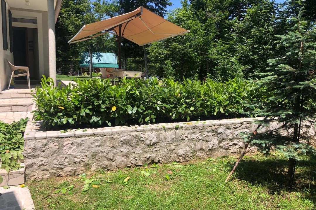 Photo of Others in Cetinje