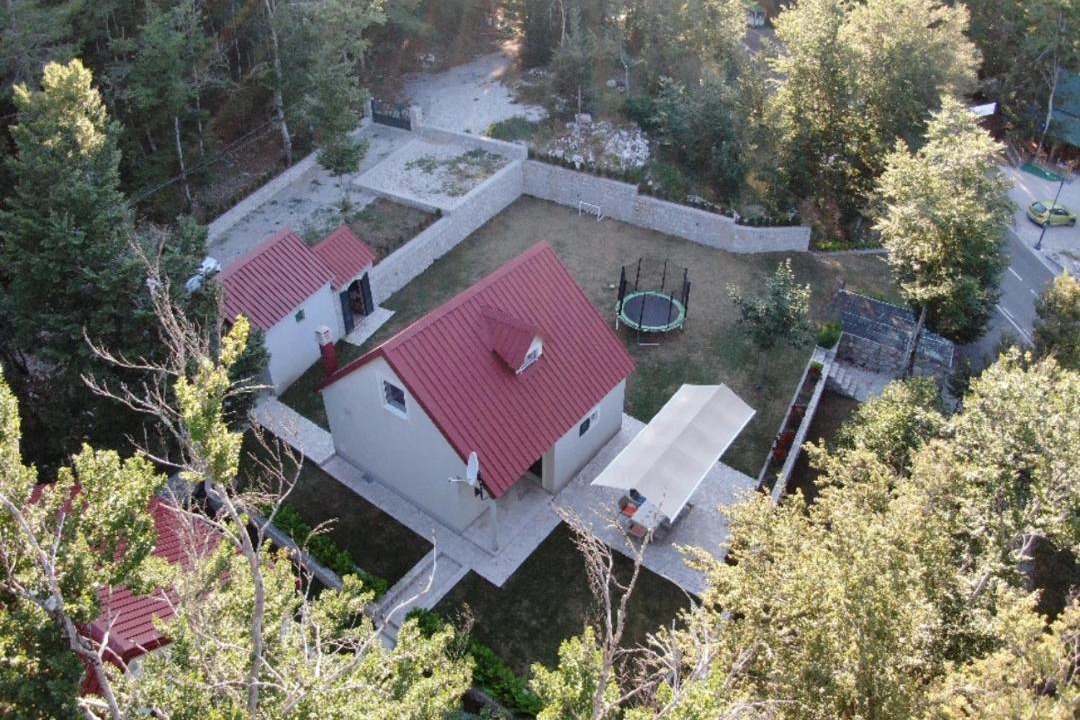 Photo of Others in Cetinje