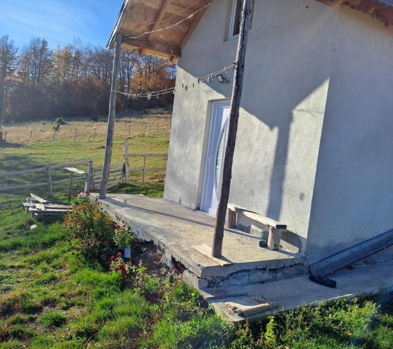 Photo of Others in Montenegro