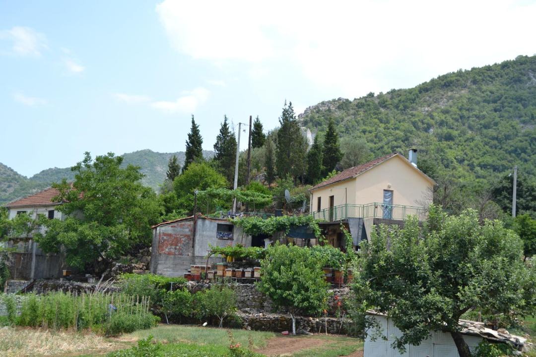 Photo of Others in Karuc