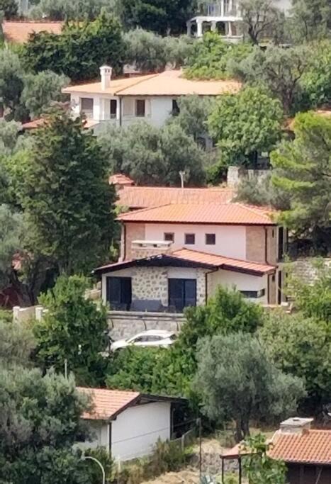Photo of Others in Ulcinj