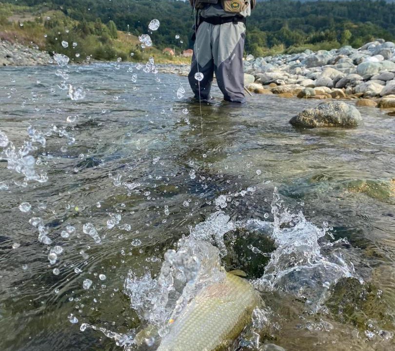Photo of Others in Mojkovac