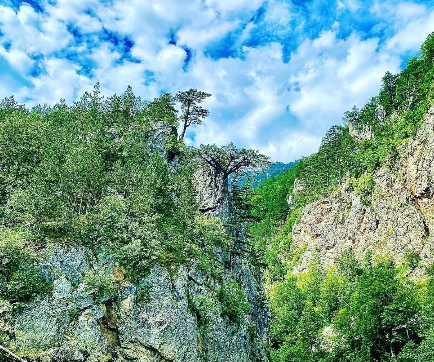 Photo of Others in Mojkovac