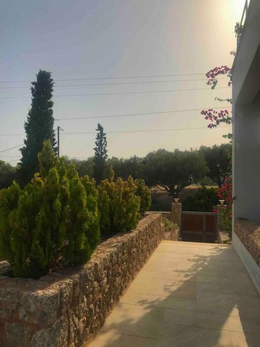 Photo of Others in Agios Emilianos