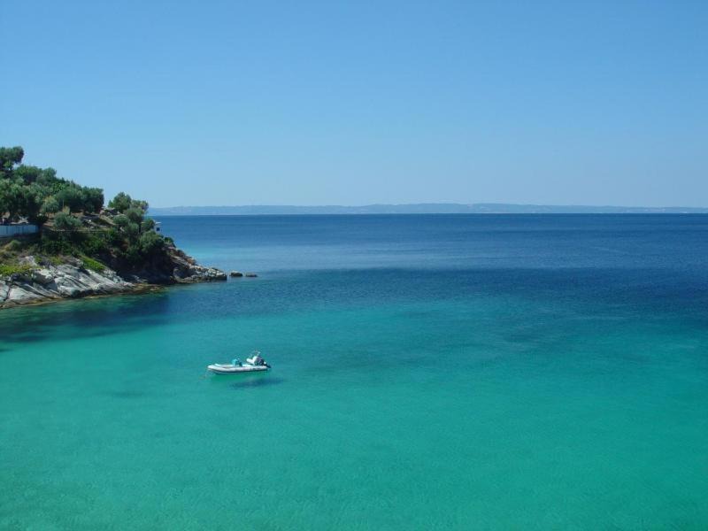 Photo of Others in Elia