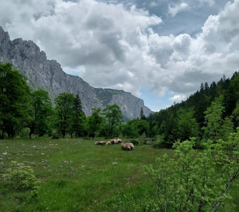 Photo of Others in Savnik