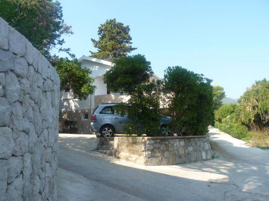 Photo of Others in Krasici