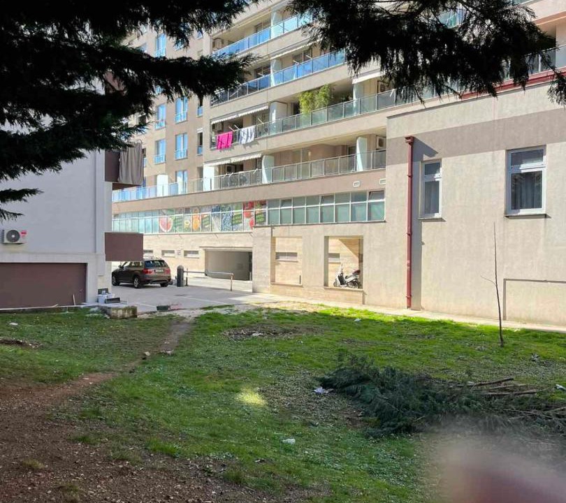 Photo of Others in Rozino