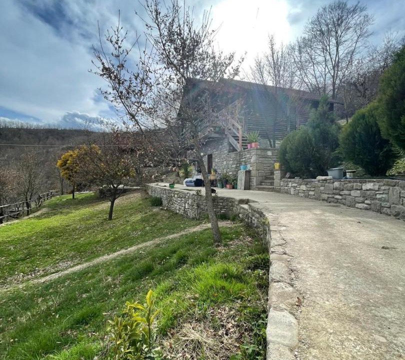 Photo of Others in Sinje
