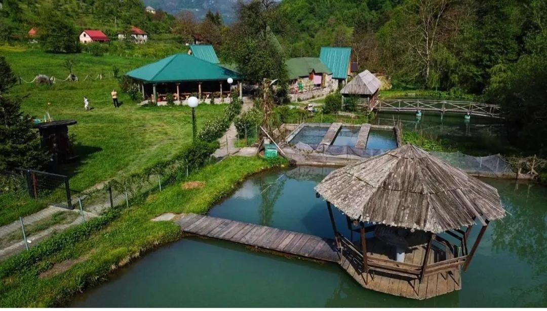Photo of Others in Andrijevica