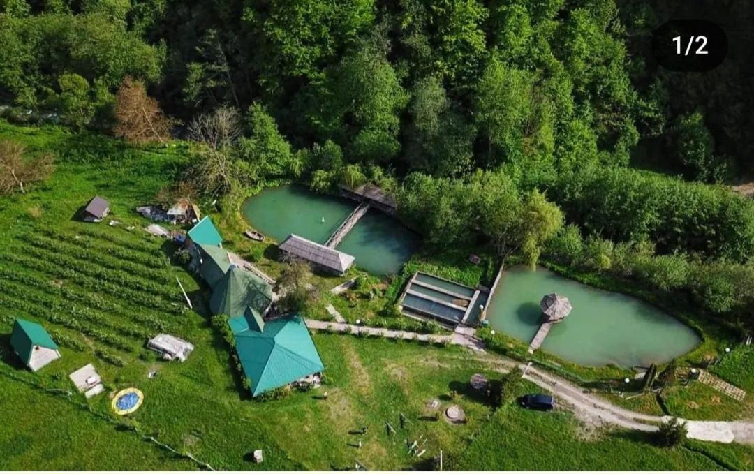 Photo of Others in Andrijevica