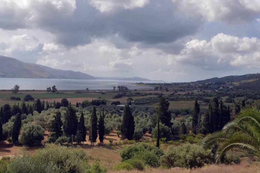 Photo of Others in Paliki