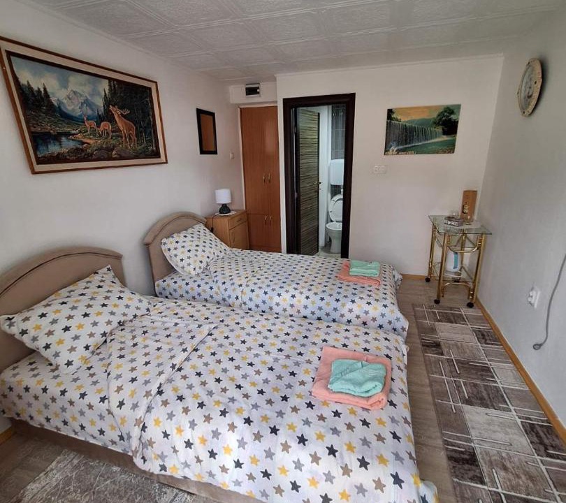 Photo of Bedroom in Pluzine