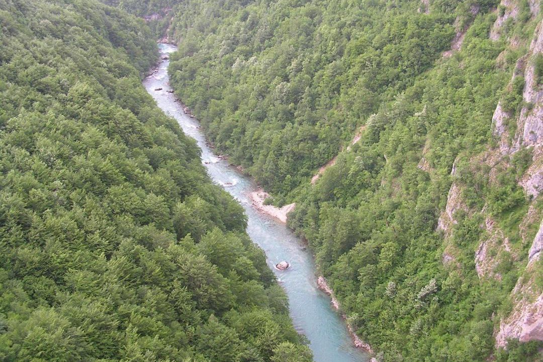 Photo of Others in Ninkovici