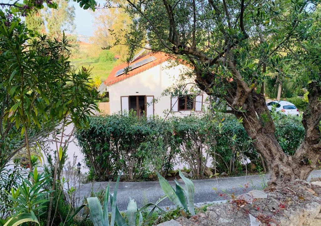 Photo of Others in Messinia