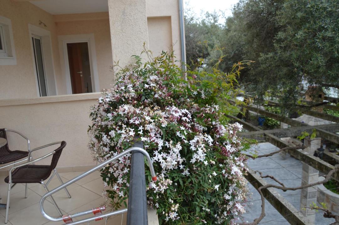 Photo of Others in Babilonija