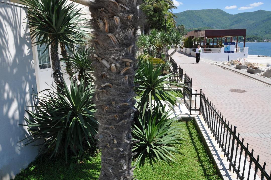Photo of Others in Herceg Novi