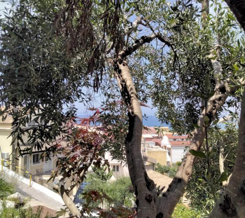 Photo of Others in Agios Gordios