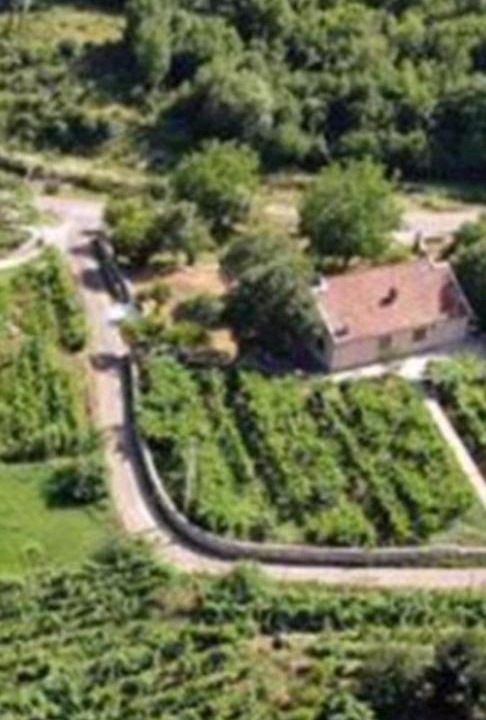 Photo of Others in Rijecani