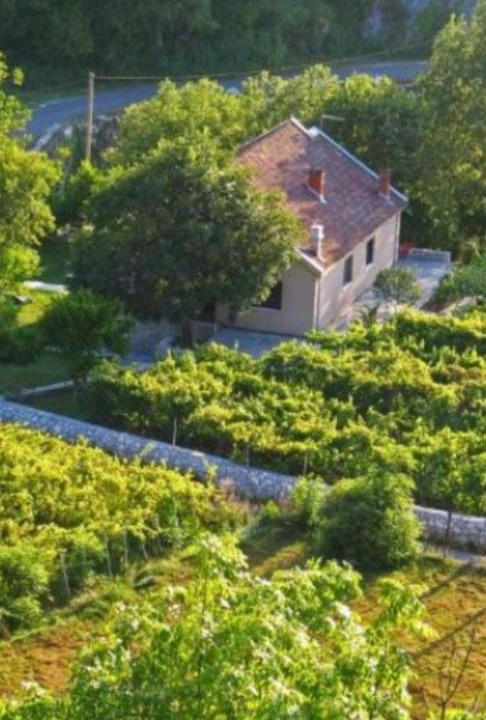 Photo of Outdoor in Rijecani