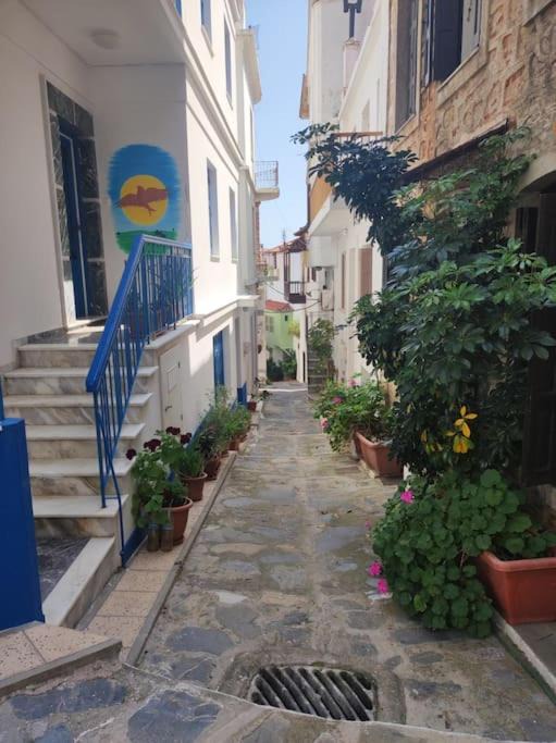 Photo of Buildings in Skopelos Town