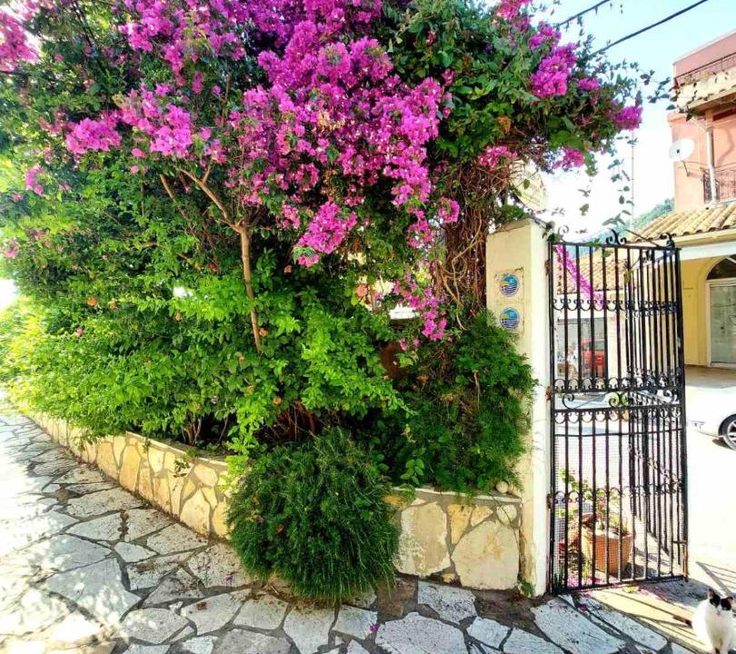 Photo of Others in Agios Gordios