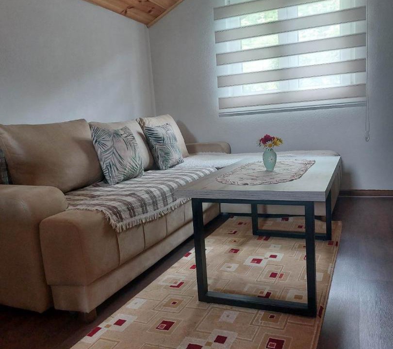 Photo of Livingroom in Drijenak