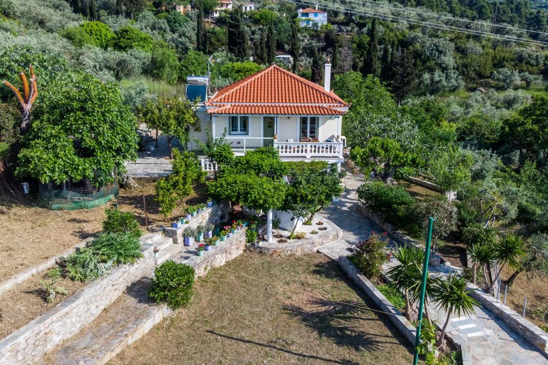 Photo of Buildings in Skopelos