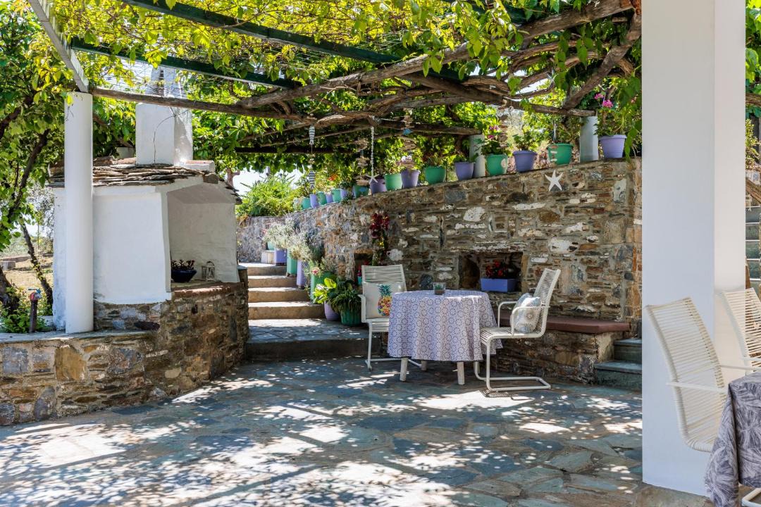 Photo of Others in Skopelos