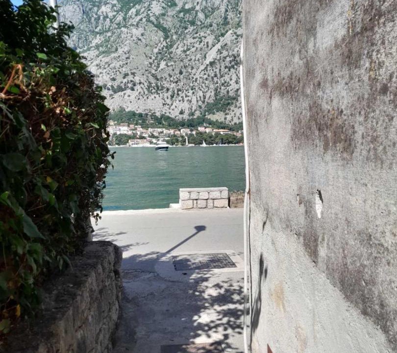Photo of Others in Kotor