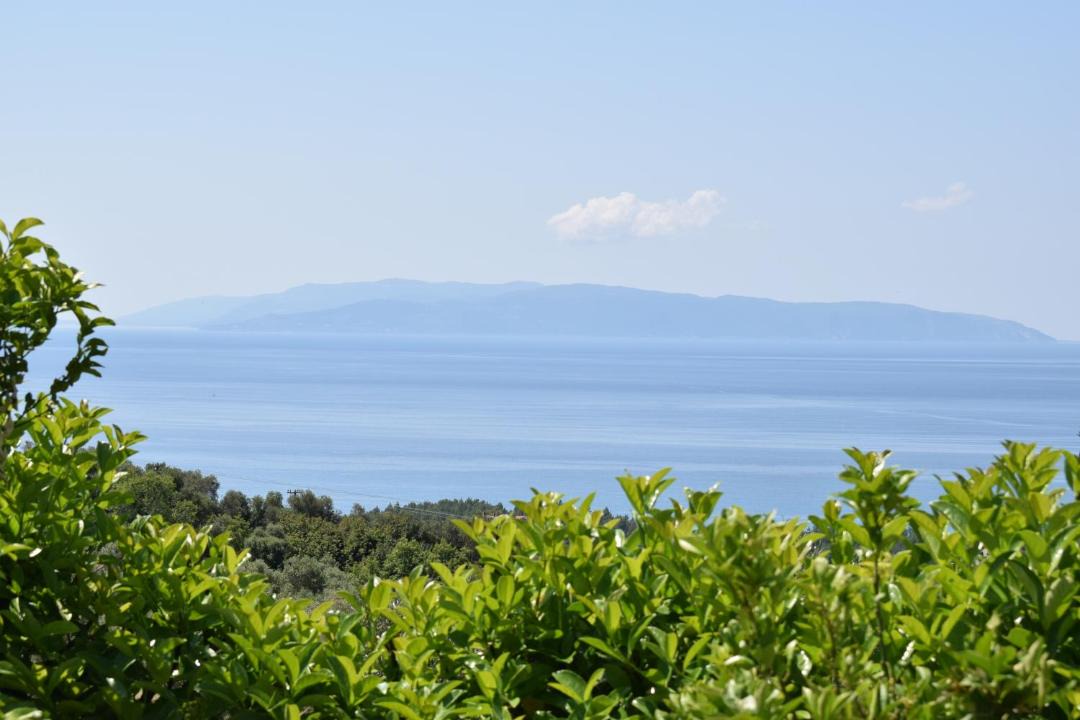 Photo of Others in Leivathos