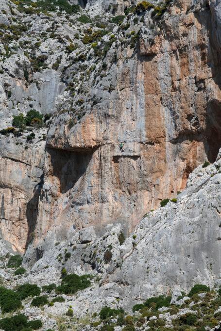 Photo of Others in Massouri