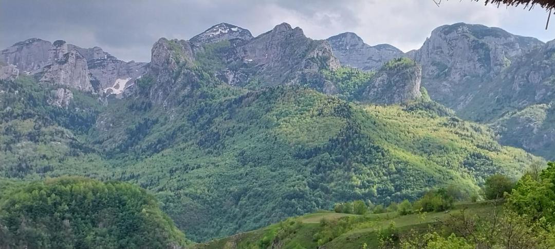 Photo of Outdoor in Milosevici