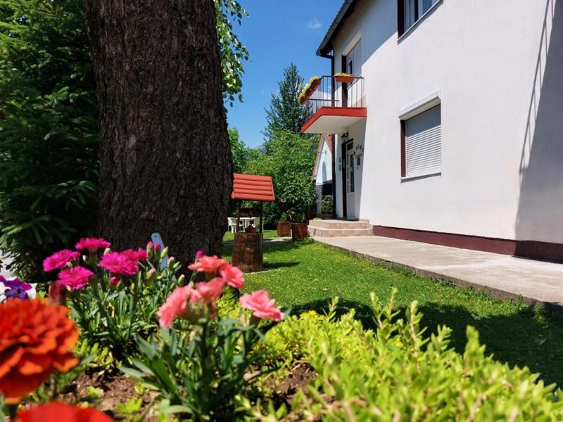 Photo of Others in Kolasin