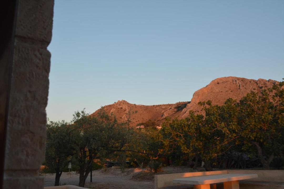 Photo of Others in Kontos