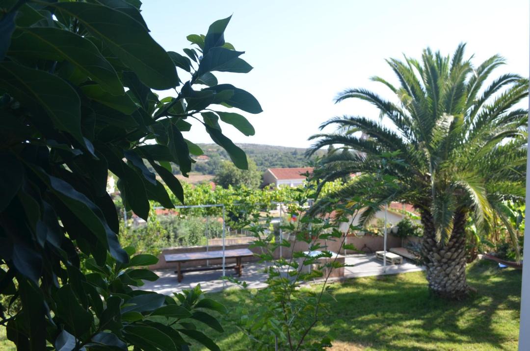 Photo of Others in Mazarakata