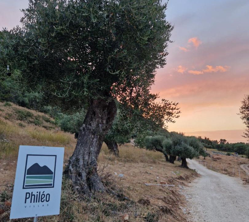 Photo of Others in Stavros