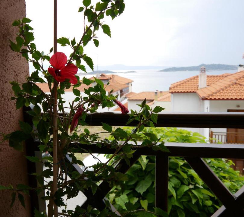 Photo of Others in Ouranoupoli