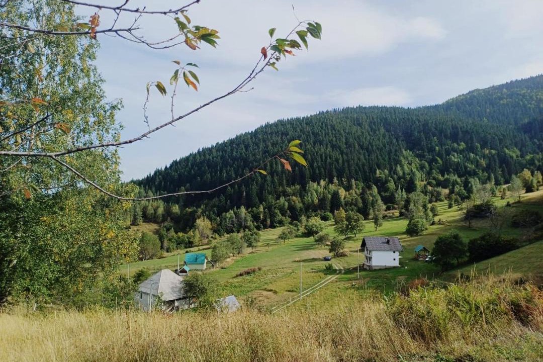 Photo of Others in Montenegro