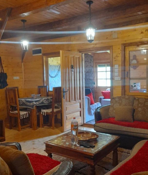 Photo of Livingroom in Milosevici