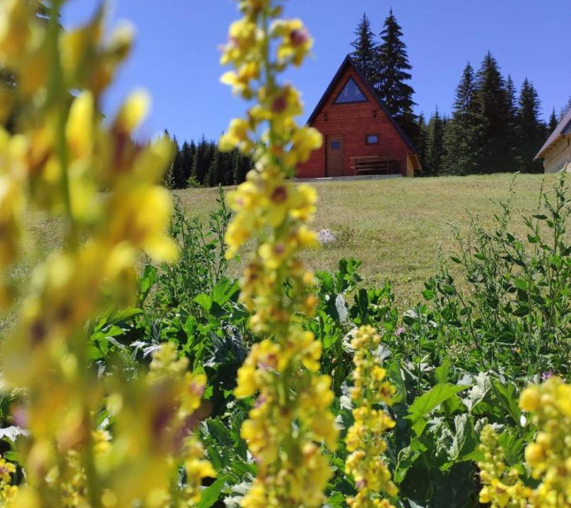 Photo of Others in Zabljak