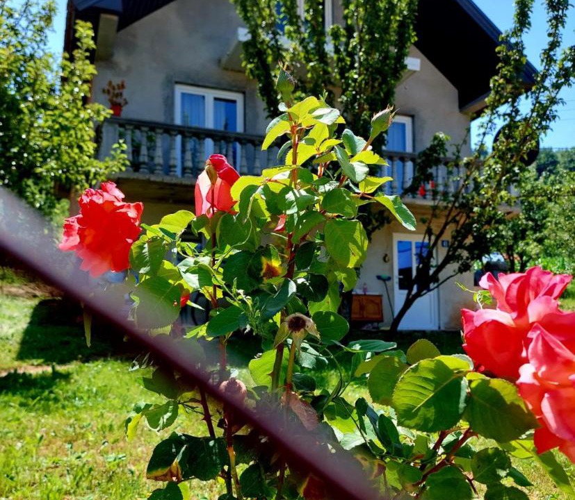 Photo of Others in Plav