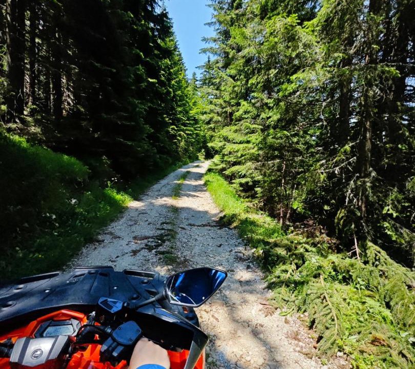 Photo of Others in Mojkovac