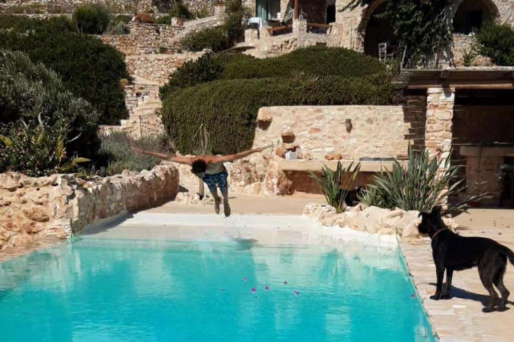 Photo of Others in Krotiri