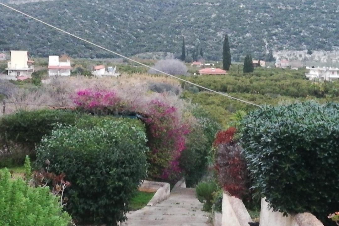 Photo of Others in Melissopetra