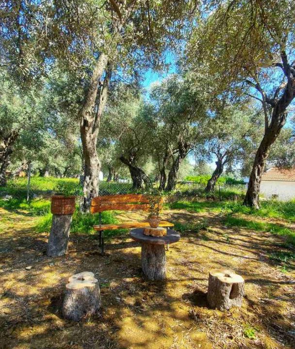 Photo of Outdoor in Ulcinj