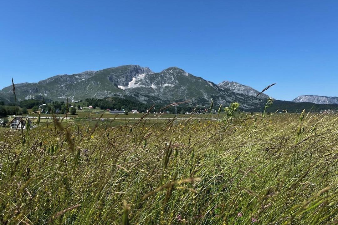 Photo of Others in Zabljak